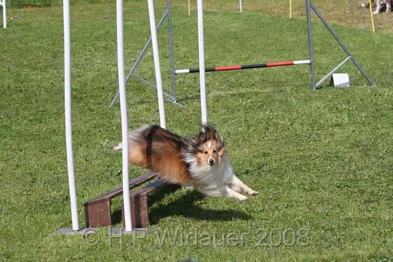 jubil.lusten. 261.jpg